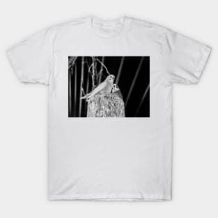 for the birds T-Shirt